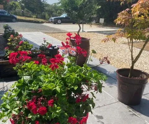 Overlooking driveway and garden.