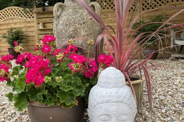 Flowers at Toppesfield