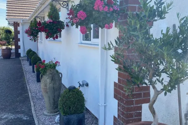 Side view of Toppesfield House showing trees and plants in pots