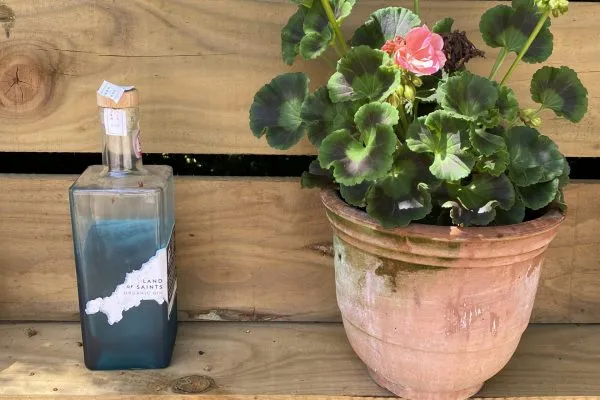 Land of Saints Organic Gin next to a plant pot