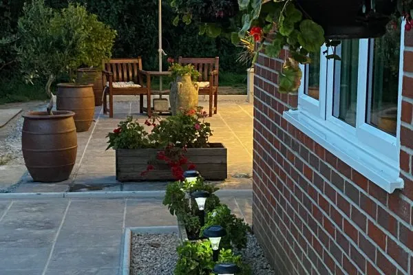 Night time view of plants on patio
